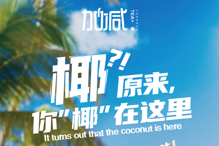 星空体育椰子系列新品火爆上市